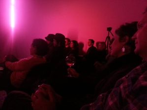 Audience at Cantina Royal watch John Elliott, November 8th, 2013