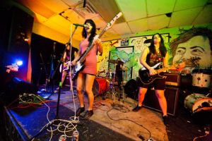 Desert Sharks Bkyln Vegan