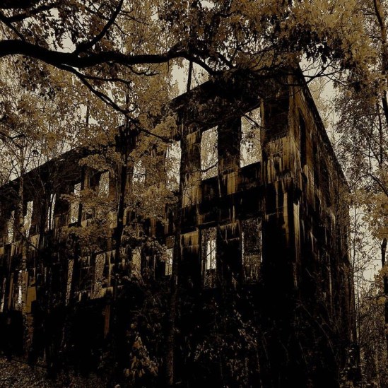 Album cover of Caollaidhe by Gypsy George